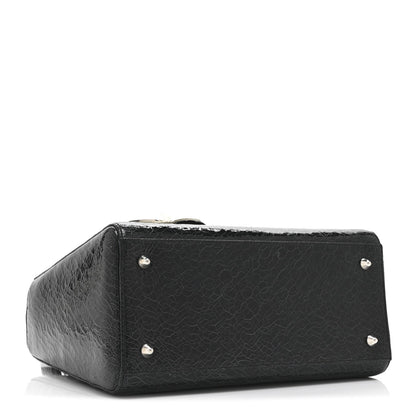 Ceramic Effect Deerskin Jeweled Swan Lady Dior Black