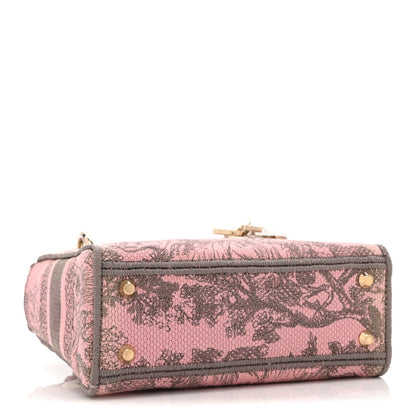 Canvas Toile De Jouy Embroidered Mini Lady D-Lite Gray Pink