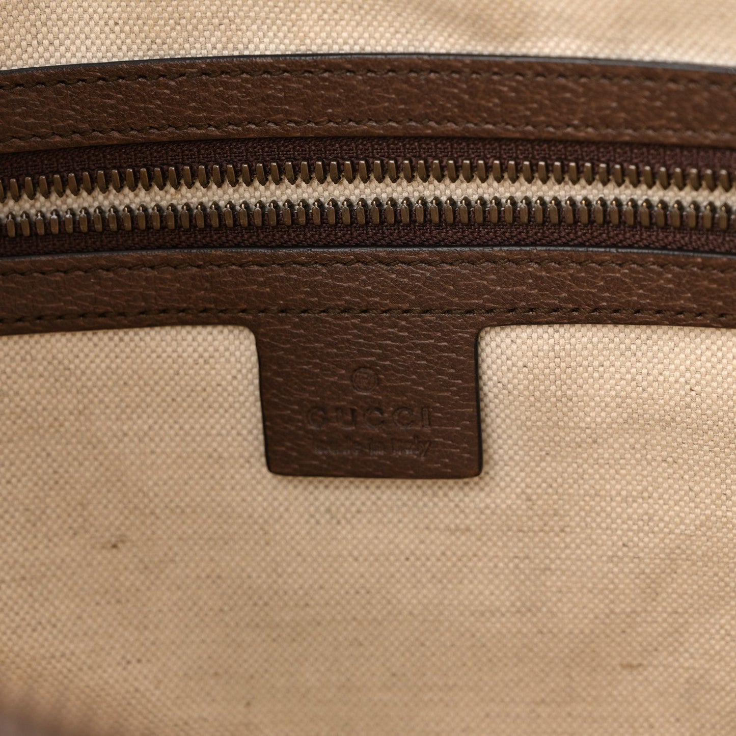 GG Supreme Monogram Web Small Ophidia Half Moon Hobo Brown