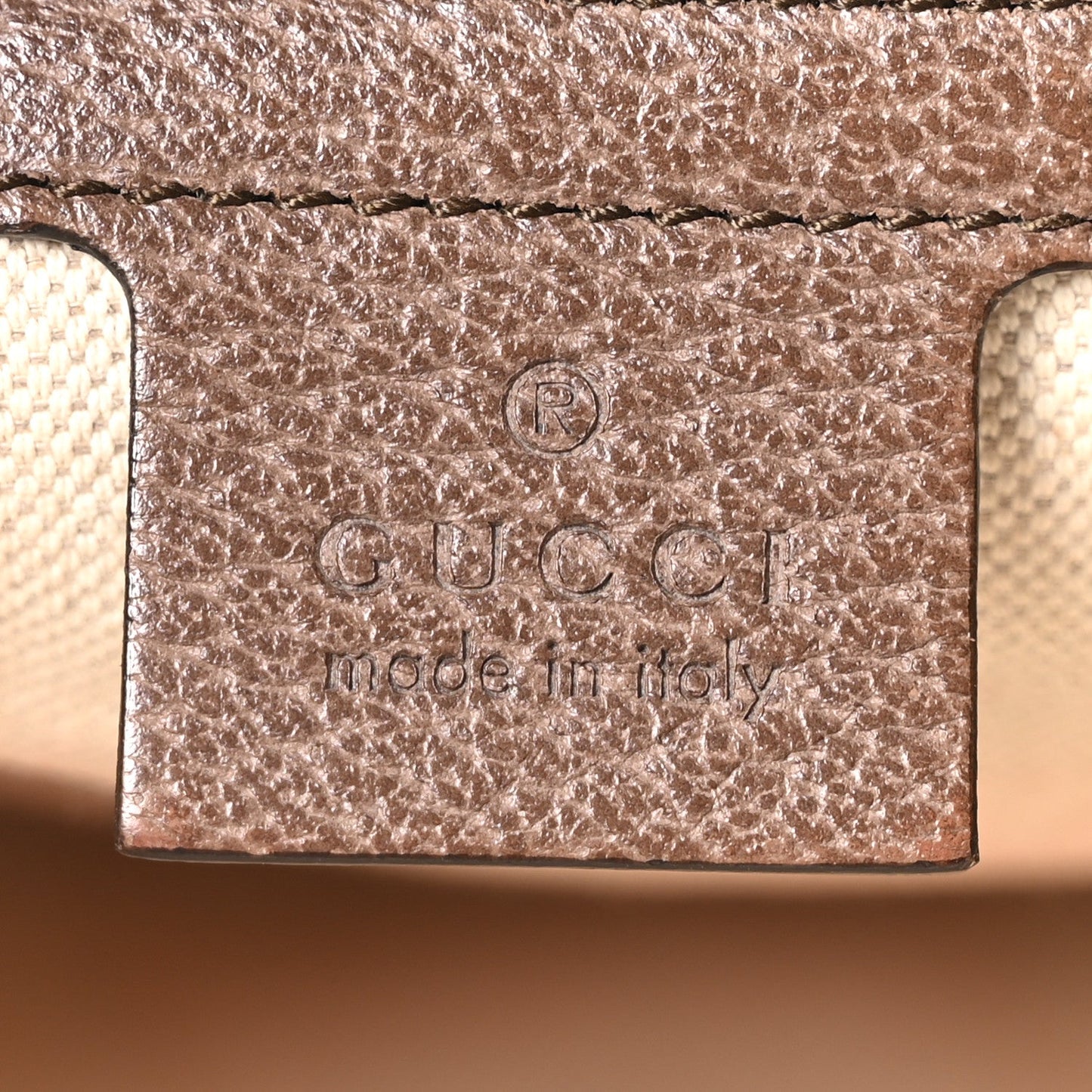 GG Supreme Monogram Web Ophidia Half Moon Hobo Brown