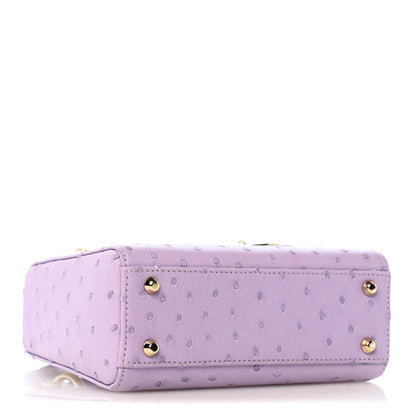 Ostrich Mini Lady Dior Purple