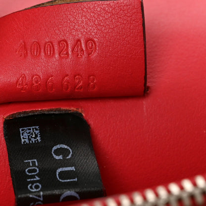 Suede Vitello Velvet Small Dionysus Shoulder Bag Vulcanic Red