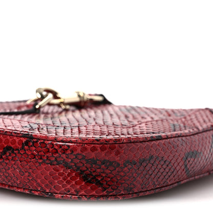 Snakeskin Web Small Jackie 1961 Hobo Rosso Ancora