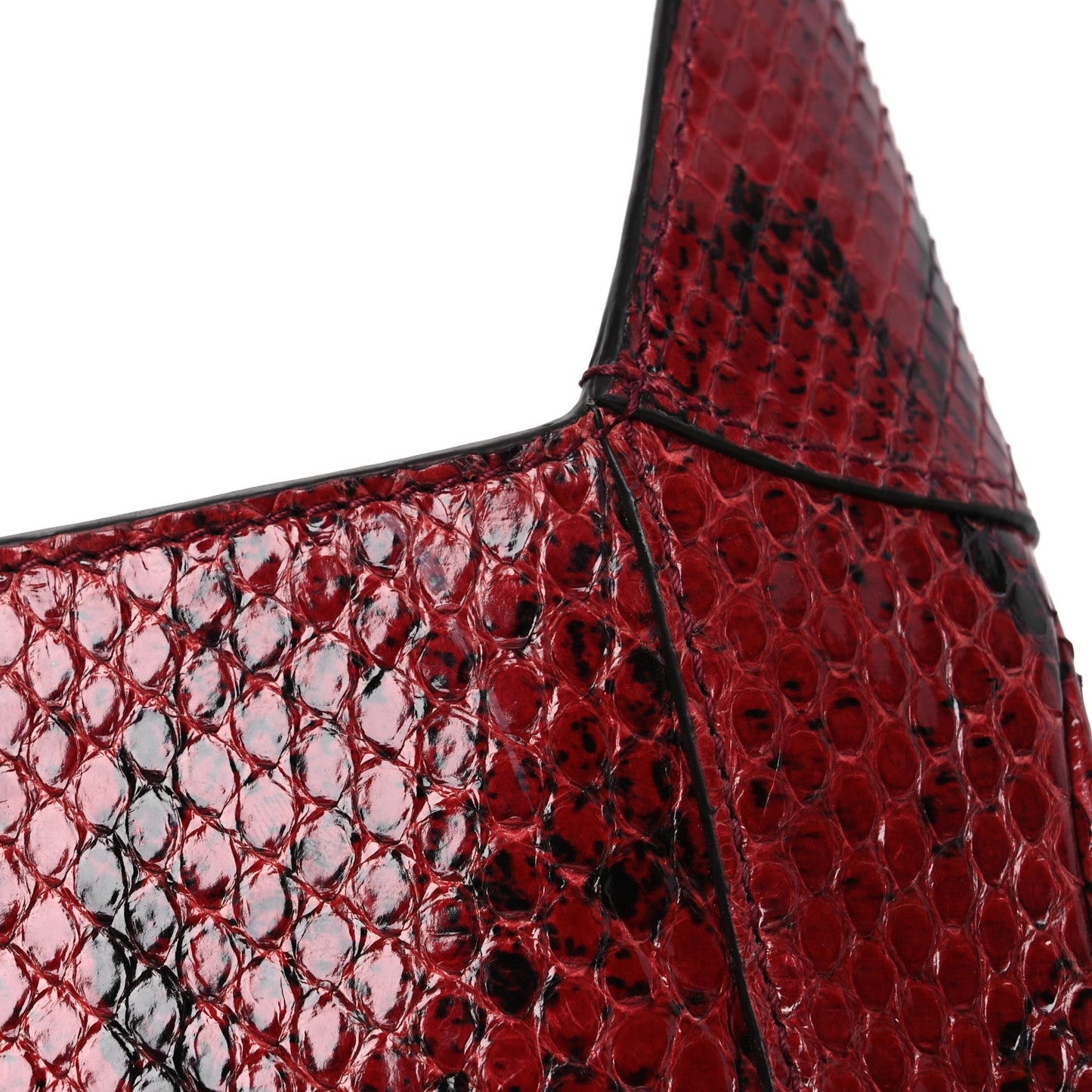 Snakeskin Web Small Jackie 1961 Hobo Rosso Ancora